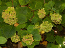 DSCN1458