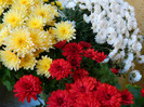 DSCN1460