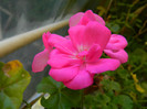 DSCN1465
