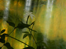 DSCN1471