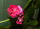 DSCN1475
