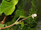 DSCN1476