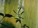 DSCN1479