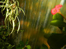 DSCN1484