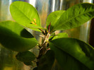DSCN1486