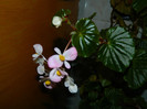 DSCN1500