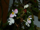 DSCN1502