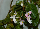 DSCN1507