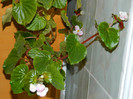 DSCN1509