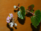 DSCN1512