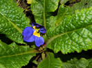 DSCN1520