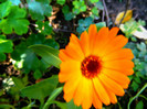 DSCN1523