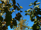 DSCN1532