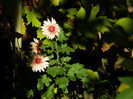 DSCN1406