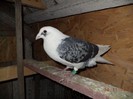 DSC01467