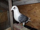 DSC01468