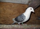 DSC01469