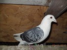 DSC01470