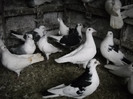 DSCN0048