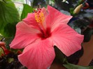 foto 323