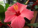 foto 324