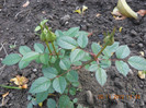 DSCN2368