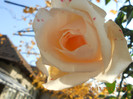 DSCN2371