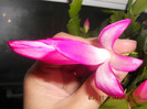 DSCN2343