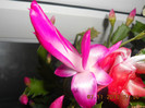 DSCN2344