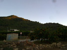 se coc portocalele