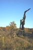 101_1814...STARC  SAU  BATLAN , CUM DORITI DV...MONUMENT AL NATURII AICI PE SECETOSUL PLATOU  BREITE