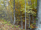 DSC02000