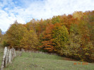 DSC02007