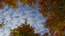 DSC02069