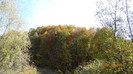 DSC02092