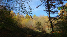 DSC02094