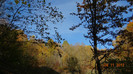 DSC02095