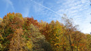DSC02096