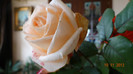 DSC02134