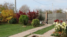 DSC02136