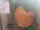 20121110_113854