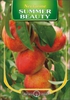 NECTARIN SUMMER BEAUTY