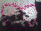 IMG_20120616_103120