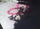 IMG_20120616_103236