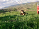 P220412_18.37_[02]