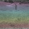 IMG_20120729_1312361