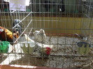 SN854581