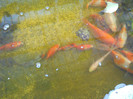 DSCN1138