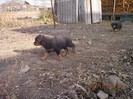IMG_0207