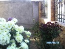 SANY0566